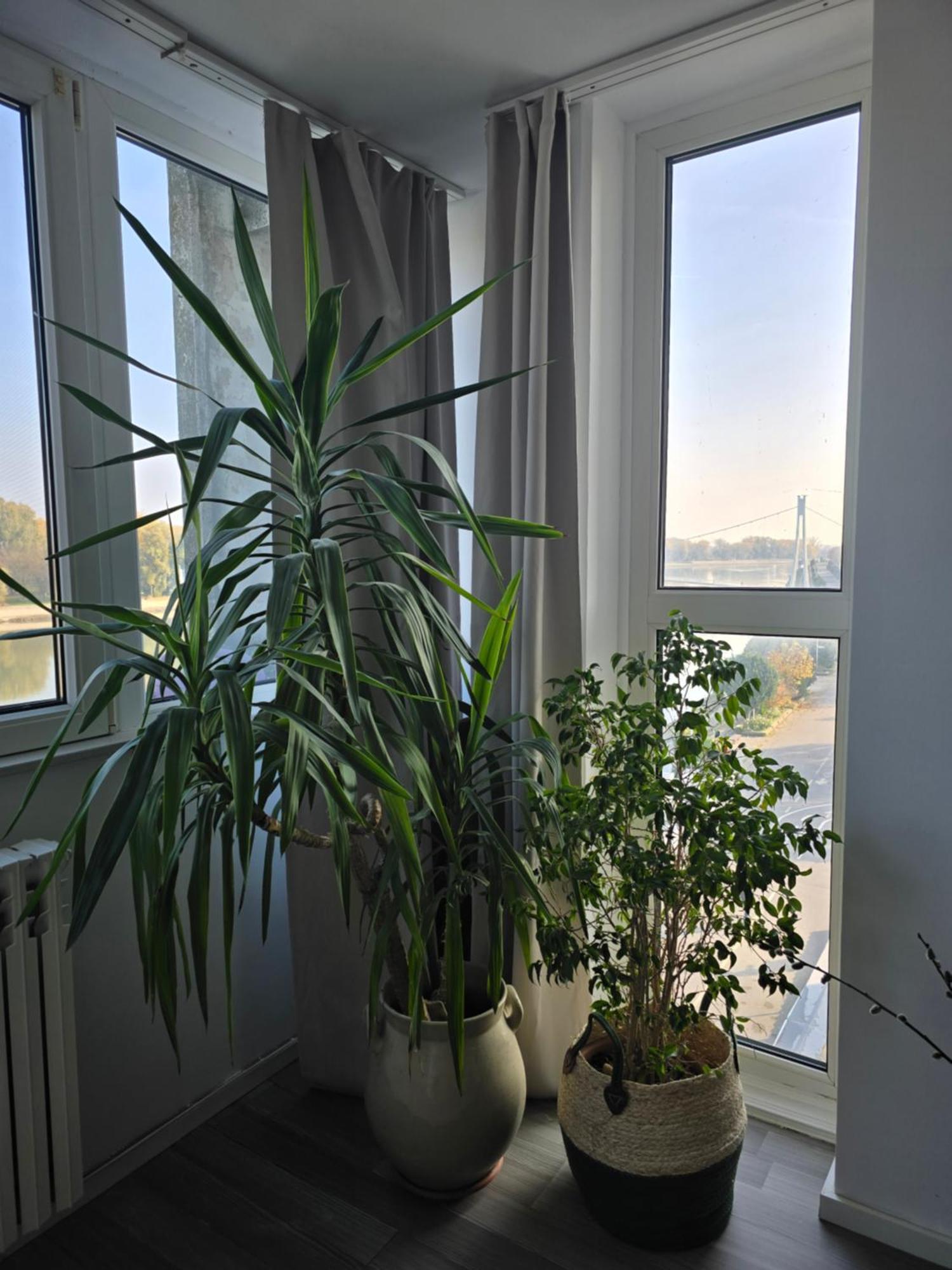Riverview Apartment Osijek Eksteriør billede